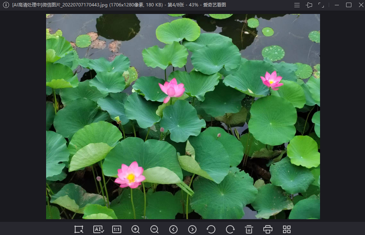 �����տ�ͼ