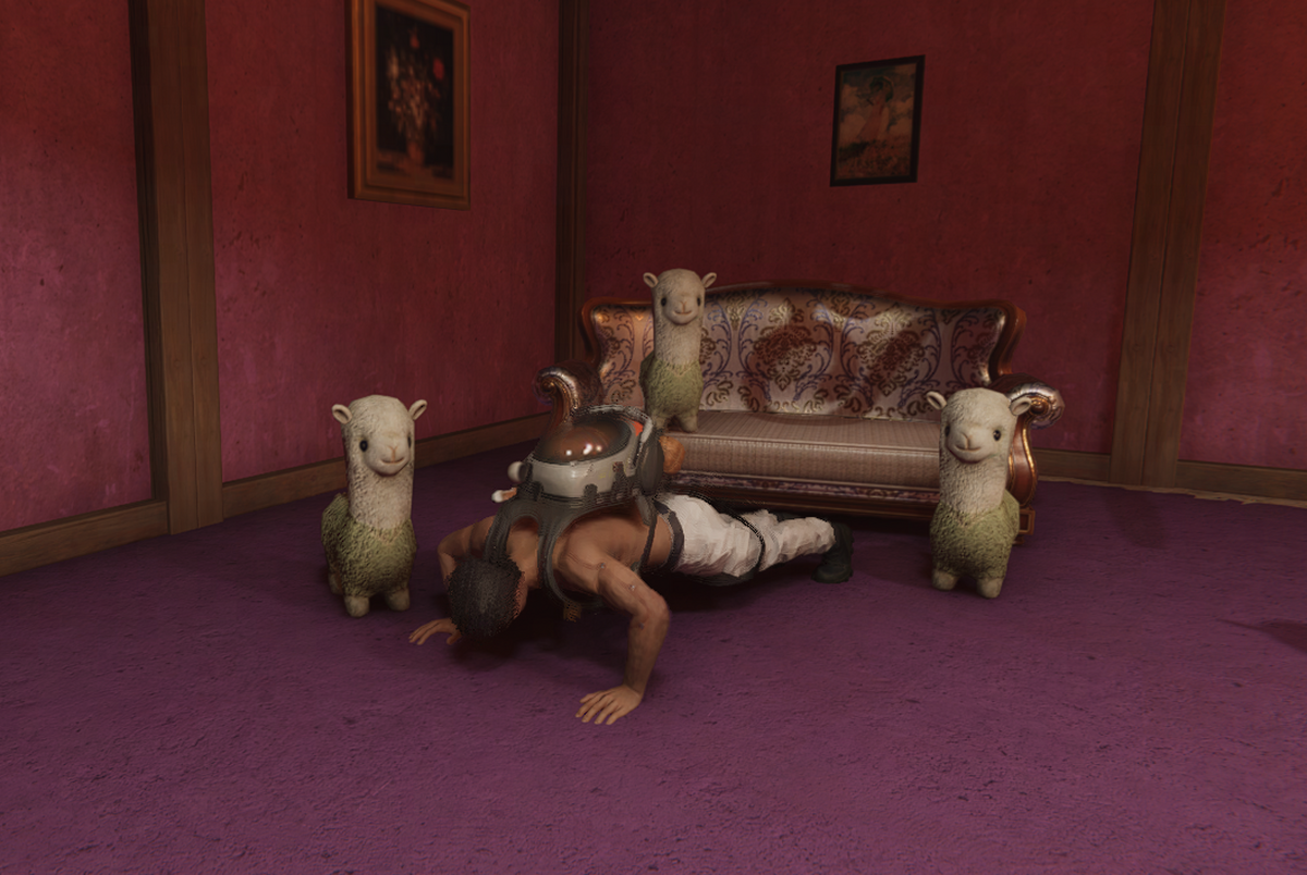 ��������