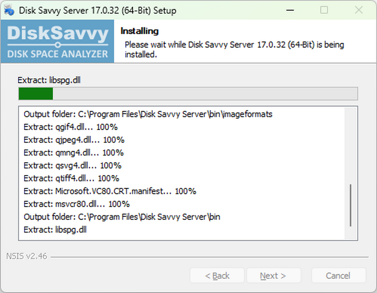 Disk Savvy Server