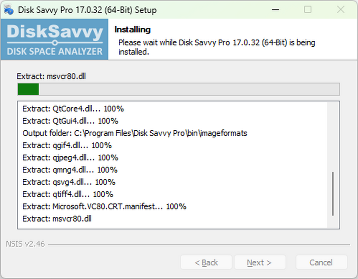 Disk Savvy Pro x64