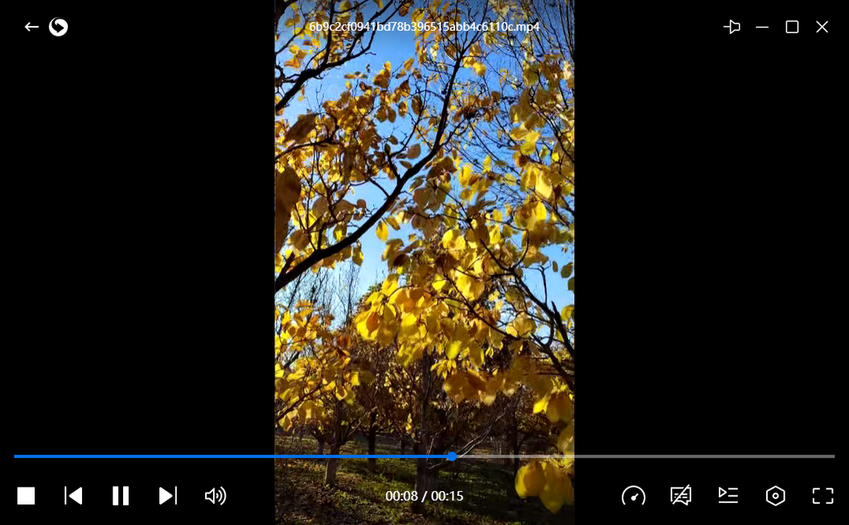 Ѹ��Ӱ�����°�